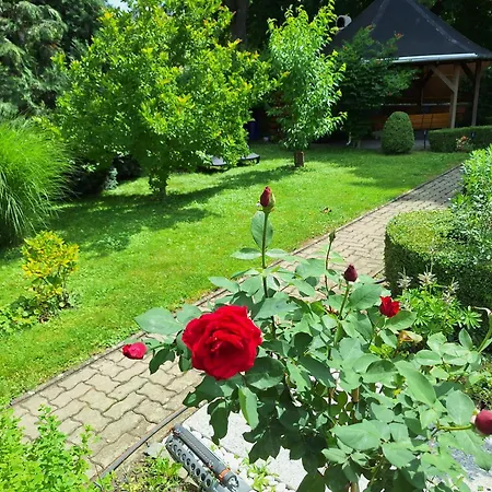 Iskolakert Apartament Sárospatak